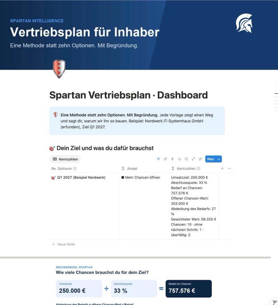 Notion-Vorlage Vertriebsplan für Inhaber